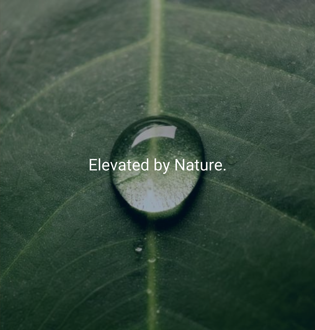 2mobile.png